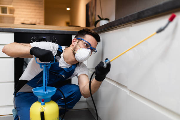 Best Residential Pest Control  in Lead, SD