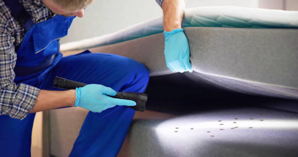 Best Rat Extermination Near Me  in Lead, SD