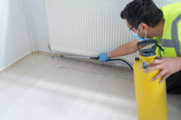 Best Pest Removal Services  in Lead, SD
